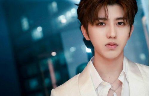 国产男孩蔡徐坤视频下载,重温偶像魅力瞬间