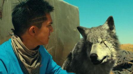 国产高清狼色在线视频,揭秘网络色情内容的隐秘世界