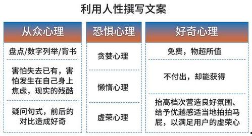 一类二类视频国产,一类二类视频的创新发展与市场拓展