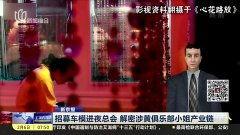 国产在线会所视频,虚拟与现实交织的娱乐世界