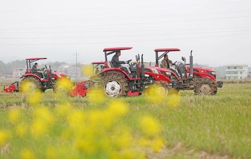 中国产粮大户视频