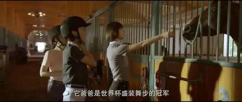 国产女性视频,展现时代风采，讲述女性故事