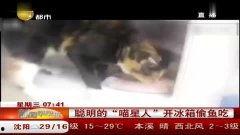 国产短视频鼻祖偷盗,偷盗背后的创新与争议  第3张