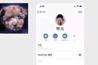 k 视频国产网红,K视频时代下的璀璨新星  第2张