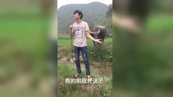 凸点 福利 视频 国产,凸点福利，探索国产视频的魅力所在